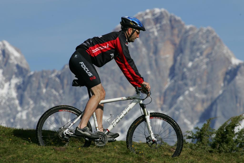 Apartment Edelweiss Schladming
